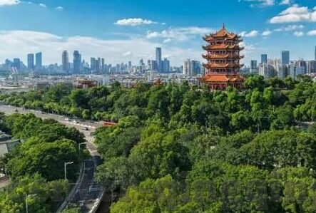糖心app一对一平台-解析糖心APP的一对一平台,社交与互动的新维度